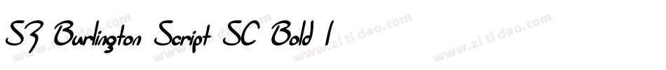 SF Burlington Script SC Bold Italic3字体转换